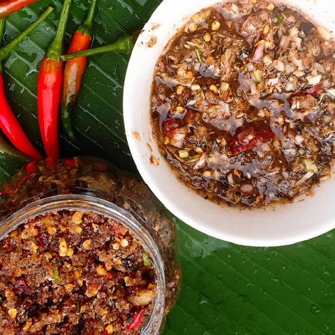 Chẩm Chéo Tây Bắc
