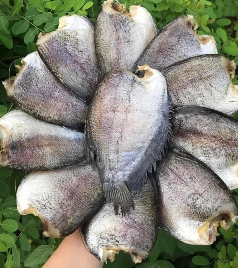 Khô cá sặc